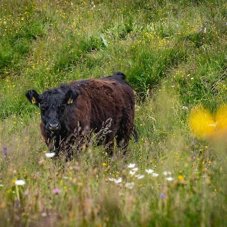 Naturlodge Gadestatt Екстер'єр фото