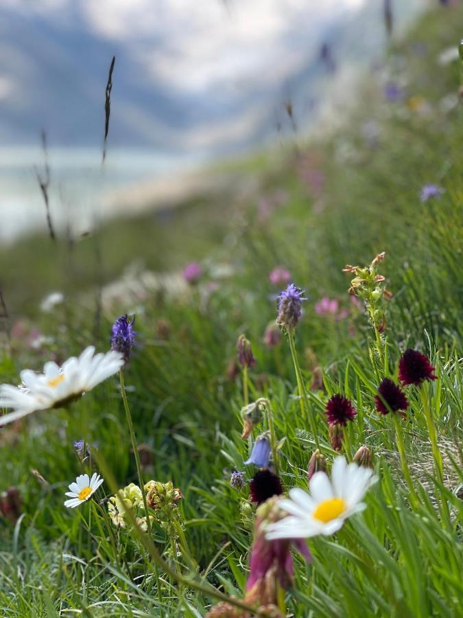 Naturlodge Gadestatt Екстер'єр фото